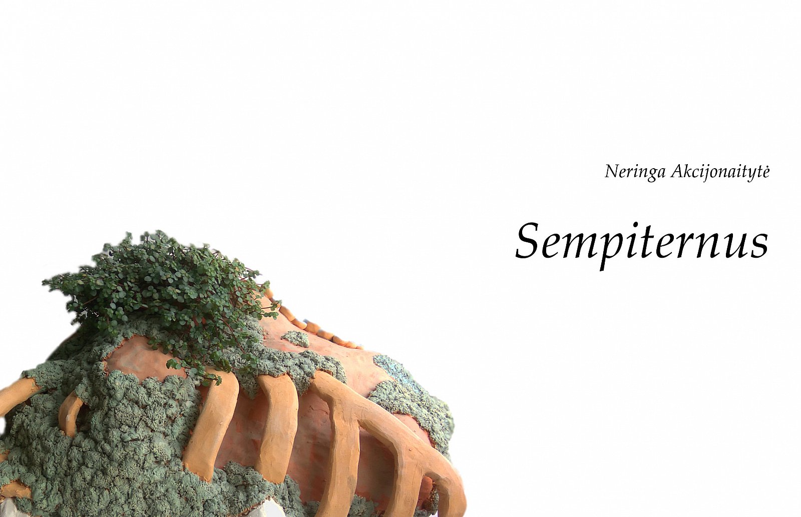 Exhibition Sempitermus 2020